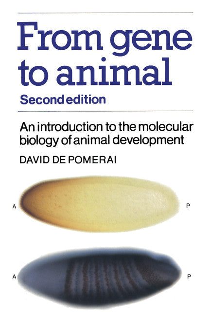 From Gene to Animal; An Introduction to the Molecular Biology of Animal Development (Paperback) 9780521388566