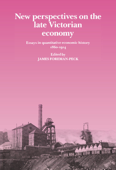 New Perspectives on the Late Victorian Economy; Essays in Quantitative Economic History, 1860–1914 (Hardback) 9780521391078
