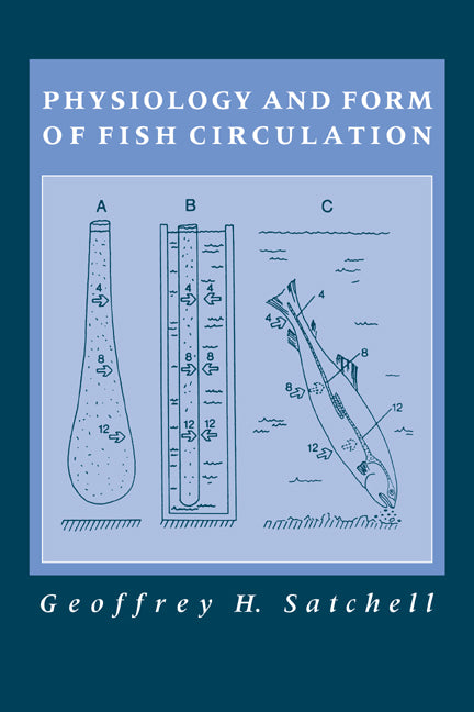 Physiology and Form of Fish Circulation (Hardback) 9780521395199