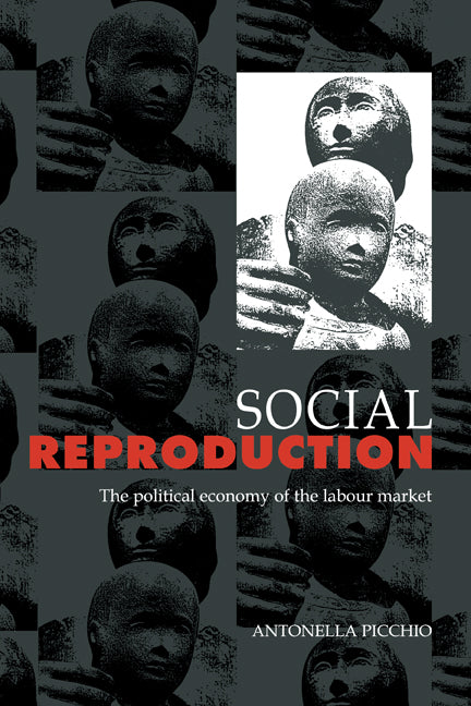 Social Reproduction; The Political Economy of the Labour Market (Hardback) 9780521418720