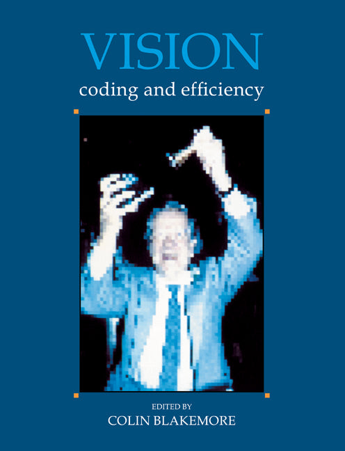 Vision; Coding and Efficiency (Paperback) 9780521447690