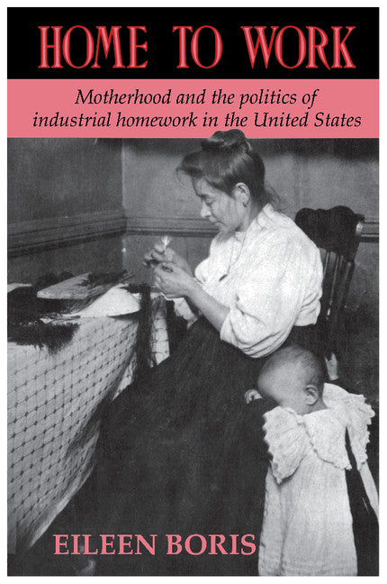 Home to Work; Motherhood and the Politics of Industrial Homework in the United States (Paperback) 9780521455480