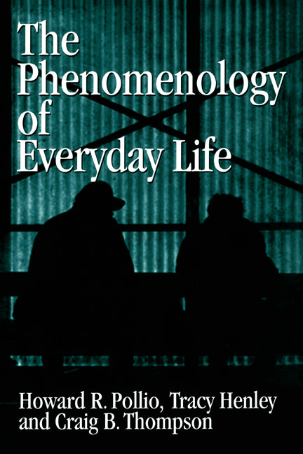 The Phenomenology of Everyday Life; Empirical Investigations of Human Experience (Hardback) 9780521462051