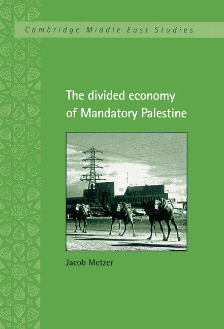 The Divided Economy of Mandatory Palestine (Hardback) 9780521465502