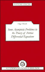 Some Asymptotic Problems in the Theory of Partial Differential Equations (Hardback) 9780521480833