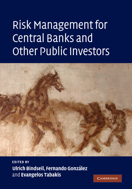 Risk Management for Central Banks and Other Public Investors (Hardback) 9780521518567