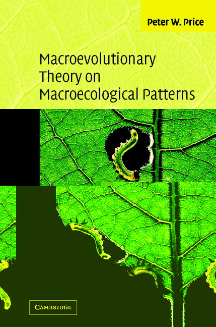 Macroevolutionary Theory on Macroecological Patterns (Paperback) 9780521520379