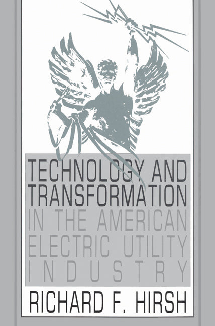 Technology and Transformation in the American Electric Utility Industry (Paperback) 9780521524711