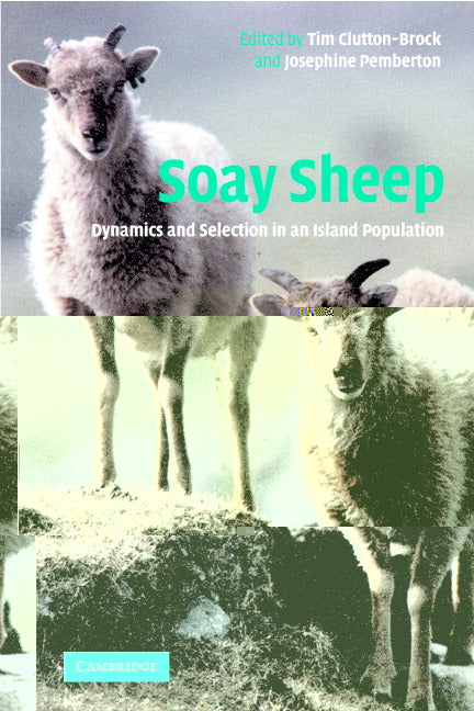 Soay Sheep; Dynamics and Selection in an Island Population (Paperback) 9780521529907