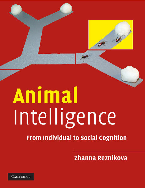 Animal Intelligence; From Individual to Social Cognition (Paperback) 9780521532020