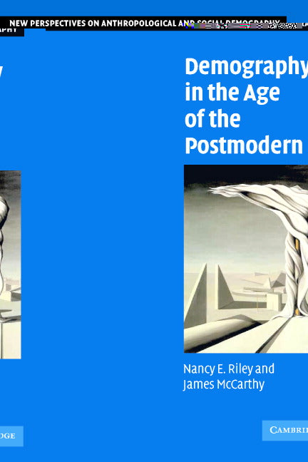 Demography in the Age of the Postmodern (Paperback) 9780521533645