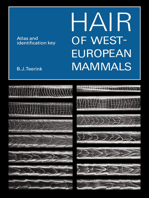 Hair of West European Mammals; Atlas and Identification Key (Paperback) 9780521545778