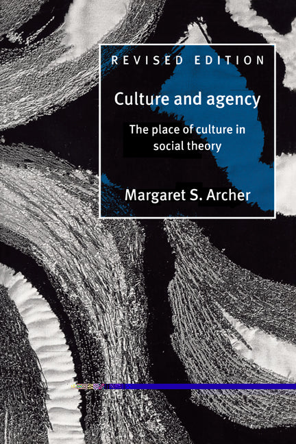 Culture and Agency; The Place of Culture in Social Theory (Paperback) 9780521564410