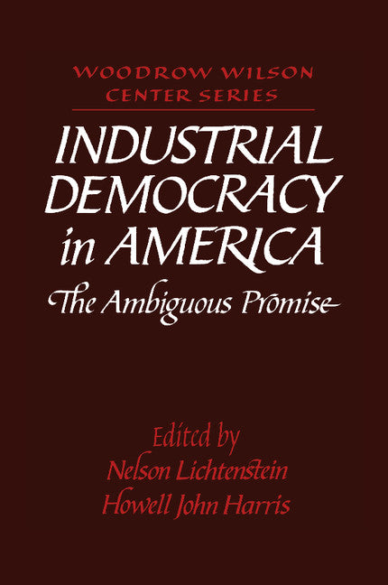 Industrial Democracy in America; The Ambiguous Promise (Paperback) 9780521566223
