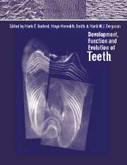 Development, Function and Evolution of Teeth (Paperback / softback) 9780521033725