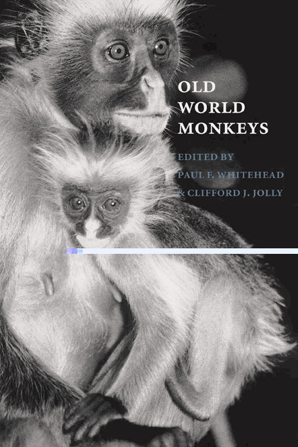 Old World Monkeys (Hardback) 9780521571241