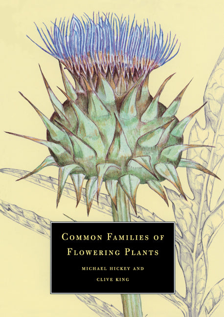 Common Families of Flowering Plants (Paperback) 9780521576093