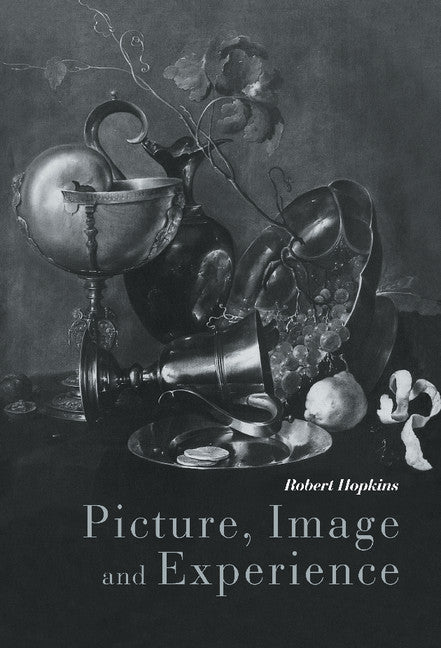 Picture, Image and Experience; A Philosophical Inquiry (Hardback) 9780521582599