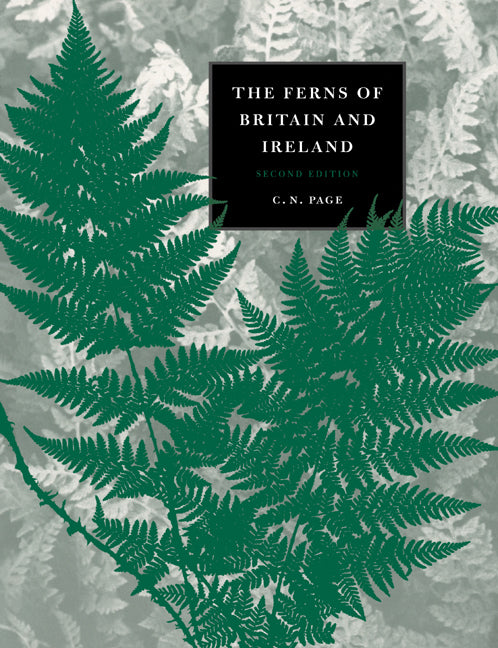 The Ferns of Britain and Ireland (Paperback) 9780521586580