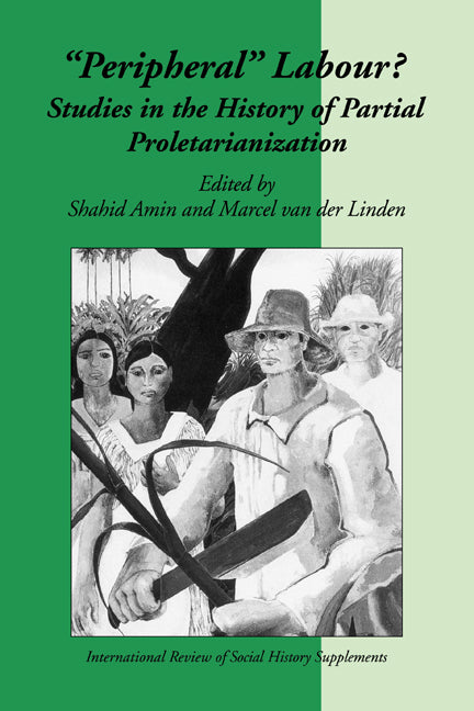 Peripheral Labour; Studies in the History of Partial Proletarianization (Paperback) 9780521589000