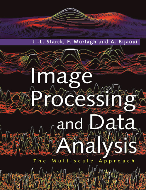 Image Processing and Data Analysis; The Multiscale Approach (Paperback) 9780521599146