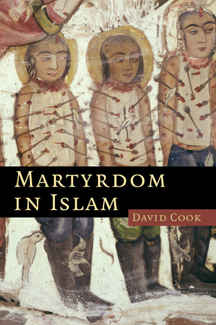Martyrdom in Islam (Paperback) 9780521615518
