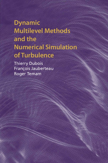 Dynamic Multilevel Methods and the Numerical Simulation of Turbulence (Hardback) 9780521621656