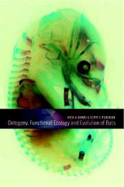 Ontogeny, Functional Ecology, and Evolution of Bats (Paperback / softback) 9780521087353