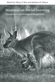 Mammalian Social Learning; Comparative and Ecological Perspectives (Paperback / softback) 9780521031950