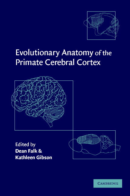 Evolutionary Anatomy of the Primate Cerebral Cortex (Hardback) 9780521642712