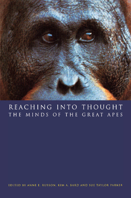 Reaching into Thought; The Minds of the Great Apes (Paperback) 9780521644969