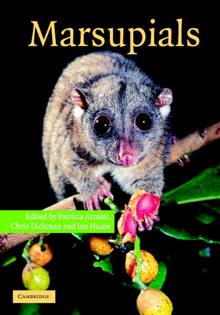 Marsupials (Hardback) 9780521650748