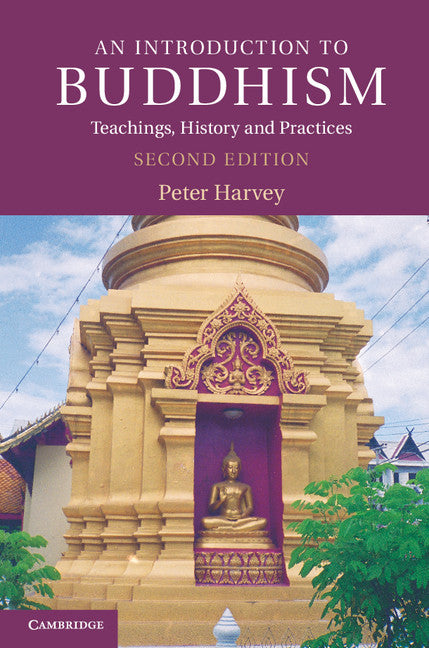 An Introduction to Buddhism; Teachings, History and Practices (Paperback) 9780521676748