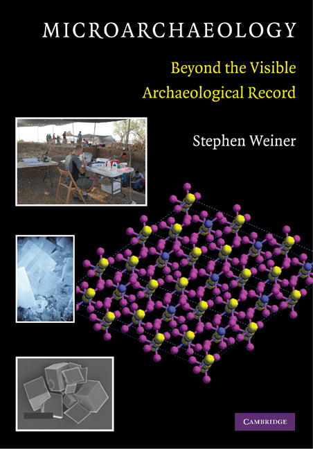 Microarchaeology; Beyond the Visible Archaeological Record (Paperback) 9780521705844