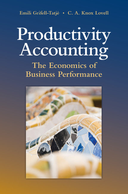 Productivity Accounting; The Economics of Business Performance (Paperback) 9780521709873