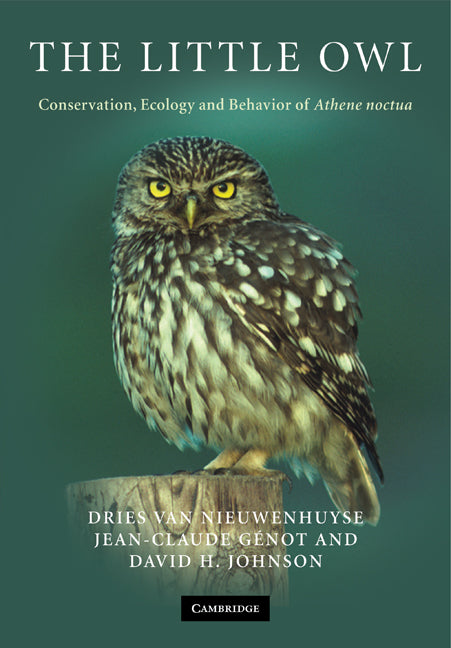 The Little Owl; Conservation, Ecology and Behavior of Athene Noctua (Paperback) 9780521714204