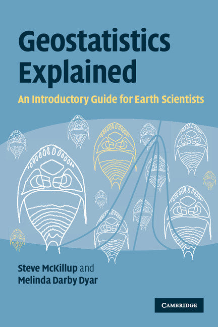 Geostatistics Explained; An Introductory Guide for Earth Scientists (Paperback) 9780521746564