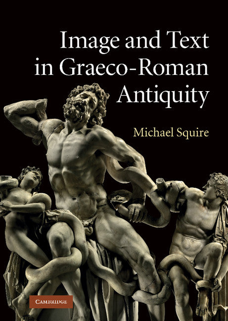 Image and Text in Graeco-Roman Antiquity (Hardback) 9780521756013