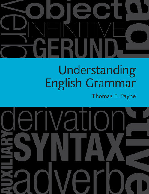 Understanding English Grammar; A Linguistic Introduction (Paperback) 9780521757119