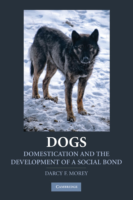 Dogs; Domestication and the Development of a Social Bond (Paperback) 9780521757430