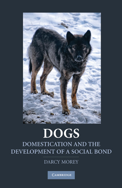 Dogs; Domestication and the Development of a Social Bond (Hardback) 9780521760065