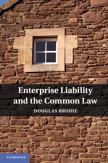 Enterprise Liability and the Common Law (Hardback) 9780521762014