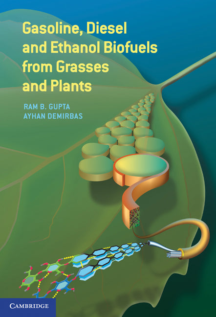 Gasoline, Diesel, and Ethanol Biofuels from Grasses and Plants (Hardback) 9780521763998