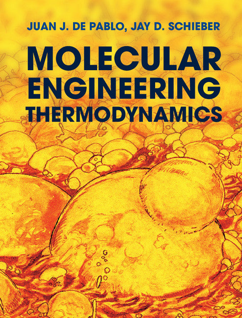 Molecular Engineering Thermodynamics (Hardback) 9780521765626