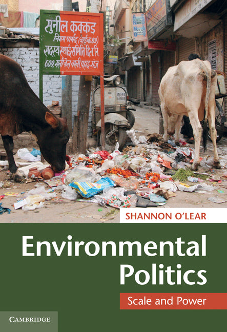 Environmental Politics; Scale and Power (Hardback) 9780521765763