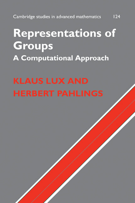 Representations of Groups; A Computational Approach (Hardback) 9780521768078