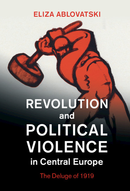 Revolution and Political Violence in Central Europe; The Deluge of 1919 (Hardback) 9780521768306