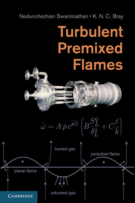 Turbulent Premixed Flames (Hardback) 9780521769617