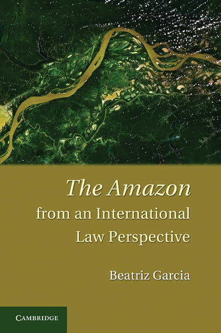 The Amazon from an International Law Perspective (Hardback) 9780521769624