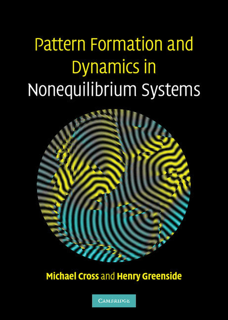 Pattern Formation and Dynamics in Nonequilibrium Systems (Hardback) 9780521770507